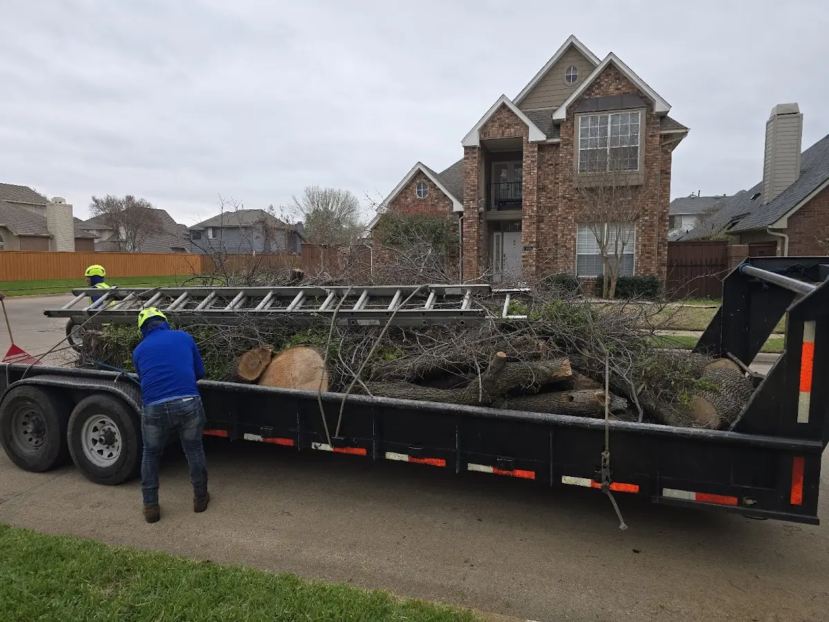Expert Tree Fertilization with proper safety equipment in Tyringham